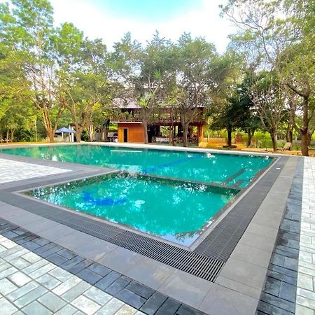 Ima Villa シギリヤ エクステリア 写真