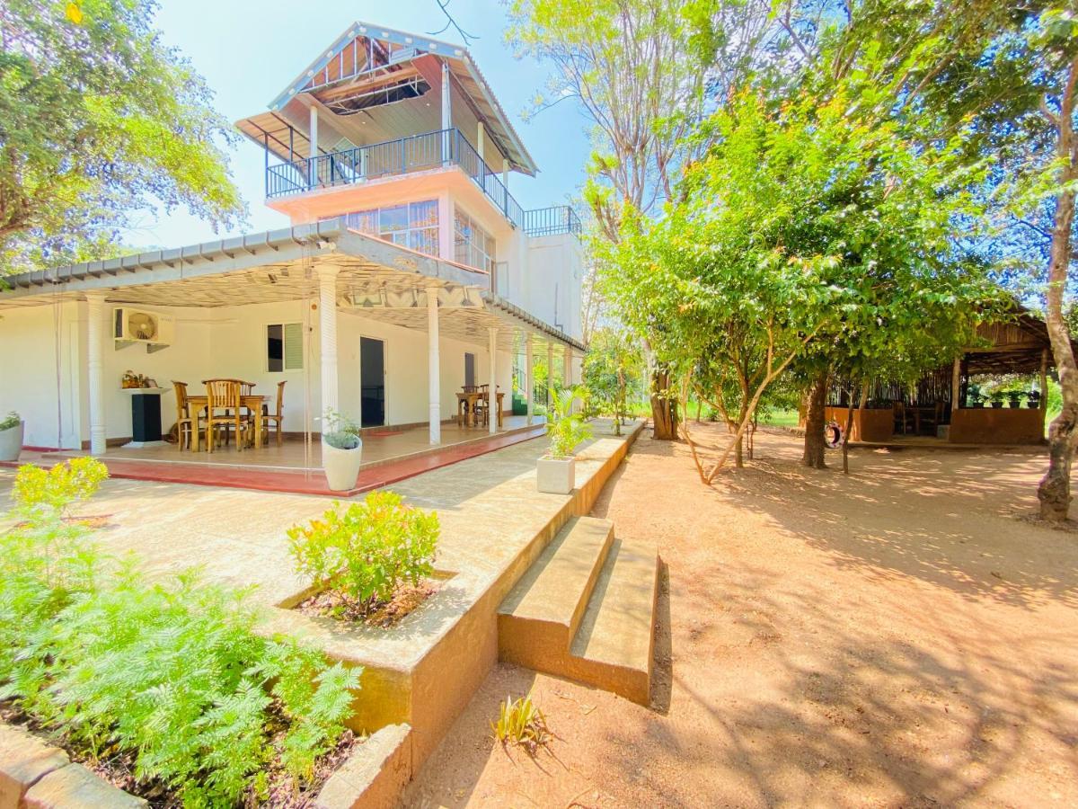 Ima Villa シギリヤ エクステリア 写真
