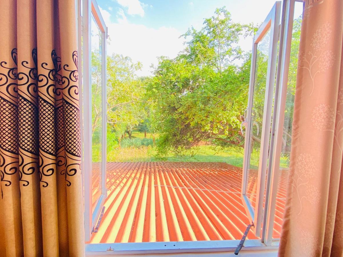 Ima Villa シギリヤ エクステリア 写真